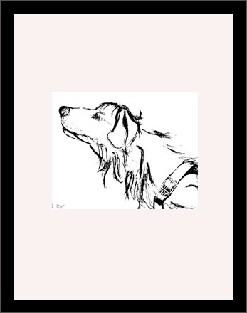 Typografie Magazin